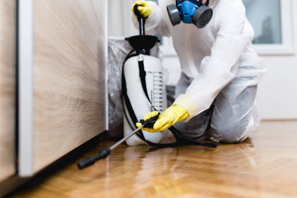 Best Best Pest Control Companies  in Vernon Center, NJ