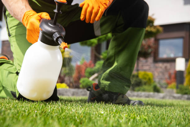 Best Rat Extermination Near Me  in Vernon Center, NJ