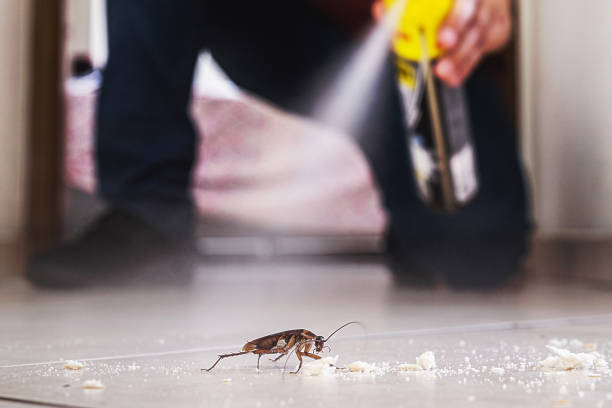 Best Local Pest Control Services  in Vernon Center, NJ