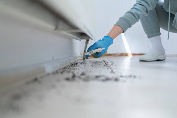 Best Residential Pest Control  in Vernon Center, NJ