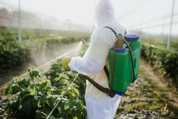 Best Pest Control Near Me in Vernon Center, NJ